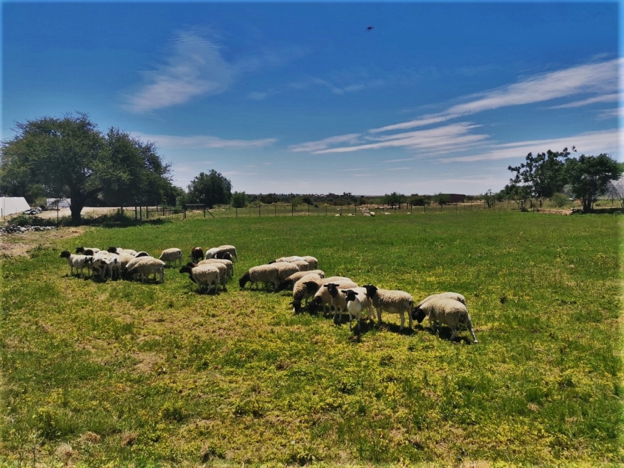 Commercial Property for Sale in Upington Rural Northern Cape